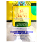 شرح مأة عامل مع مأة عامل و حواشي المفيدة الإعراب الضروري - أبي البركات عبدالرحمن بن احمد الجامي - Image 2